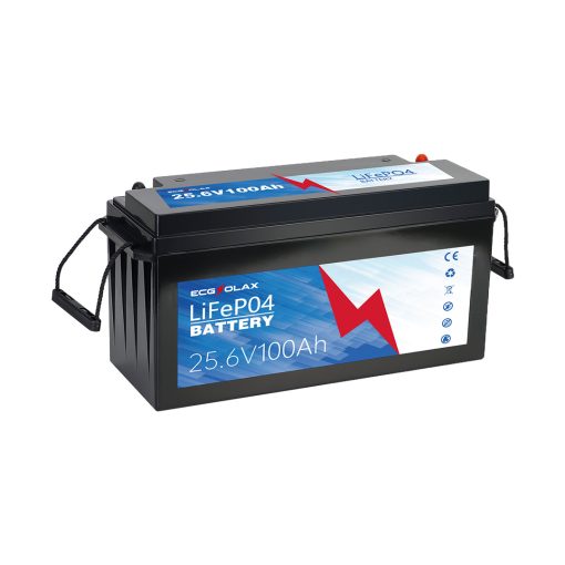 100Ah 24V LiFePO4 Lithium Iron Phosphate Battery - Imagen 2