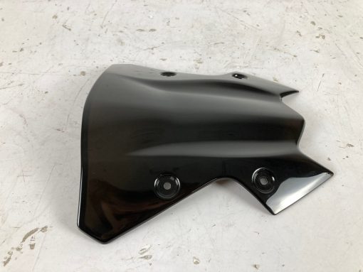 CÚPULA KAWASAKI Z900 - Imagen 2