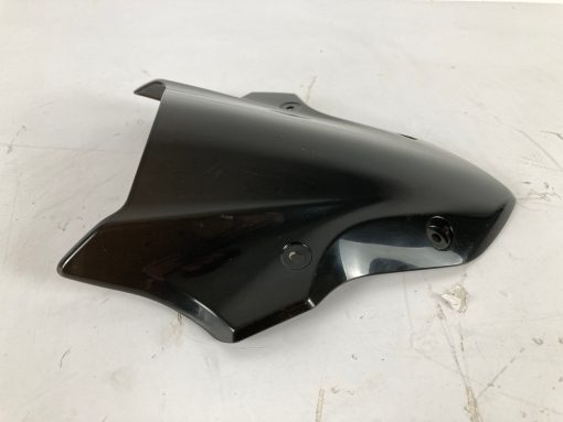 CÚPULA KAWASAKI Z900 - Imagen 2